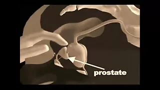 Lesbiene frumoase frecate cu ulei si fete goale blonde apoi futute