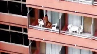Fete tinere răspândirea picioarele lor în fața fete tinere goale unui imens vibrator negru